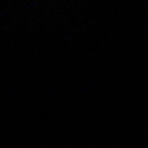 Meet your Posher, Bella